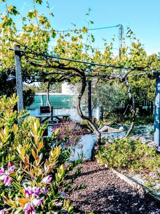 Vila Pateo Memoria, Casa Do Beco Setúbal Exteriér fotografie
