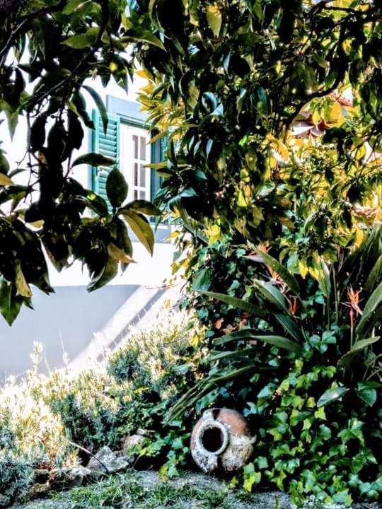 Vila Pateo Memoria, Casa Do Beco Setúbal Exteriér fotografie